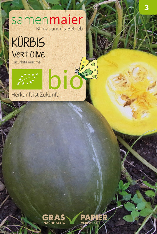 Artikelbild 1 von "BIO Kürbis Vert Olive" aus der Kategorie Kürbissamen