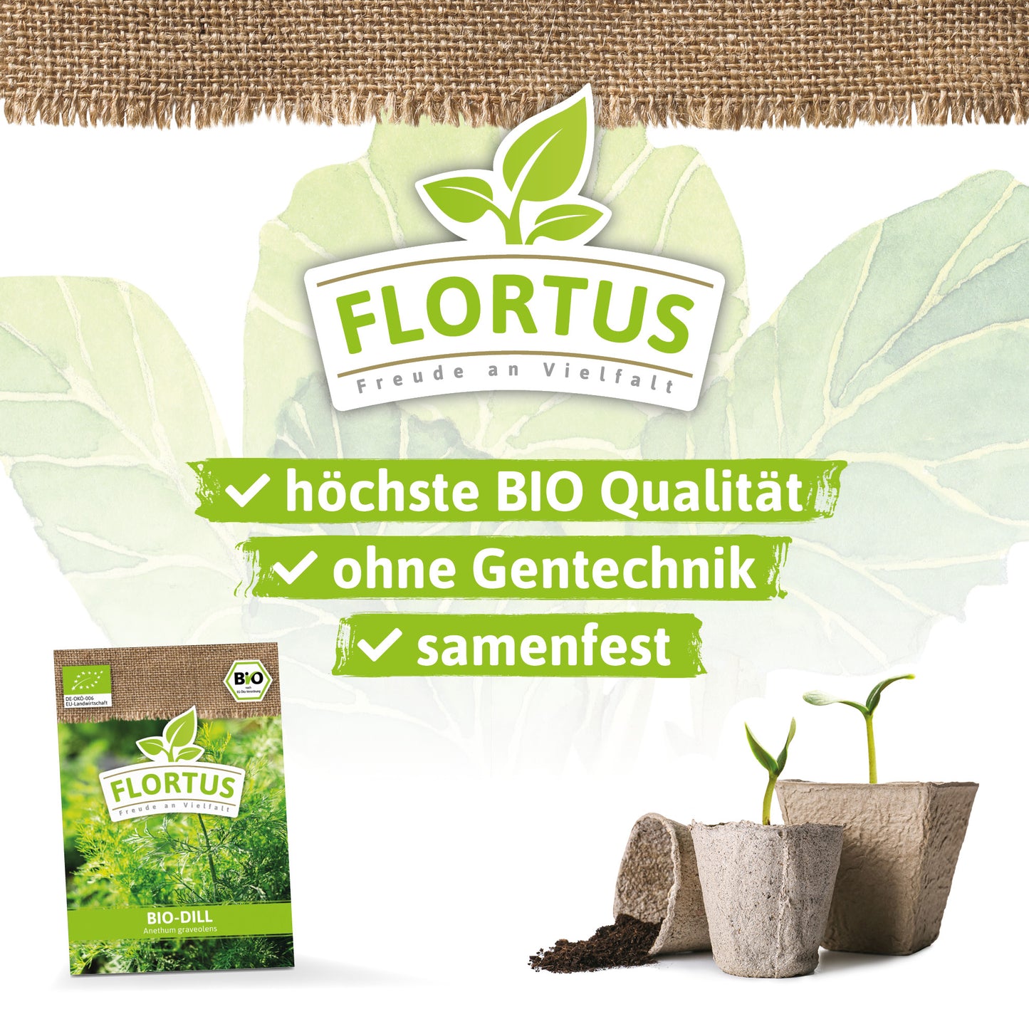 Artikelbild 3 von "BIO Dill" aus der Kategorie Dillsamen