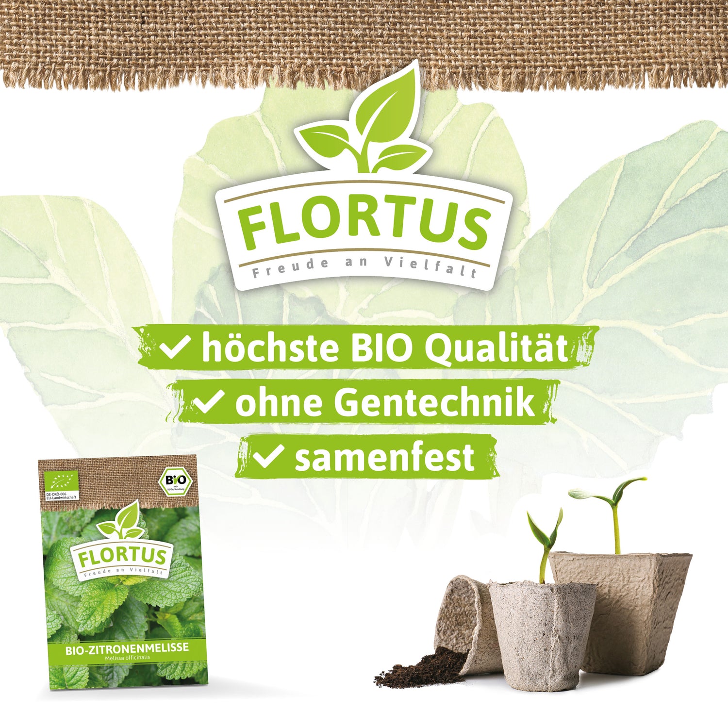 Artikelbild 3 von "BIO Zitronenmelisse" aus der Kategorie Melissensamen