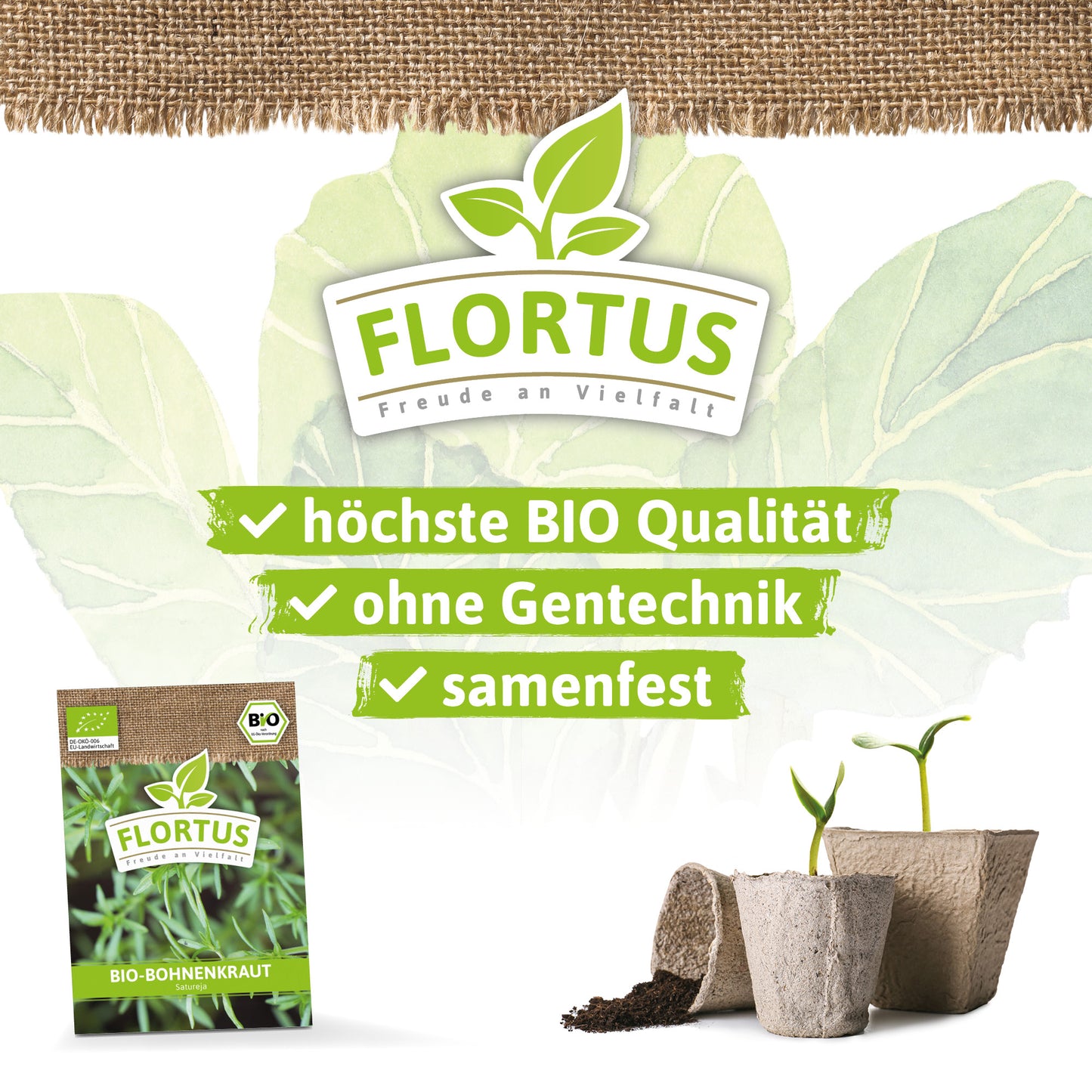 Artikelbild 3 von "BIO Bohnenkraut" aus der Kategorie Bohnenkrautsamen