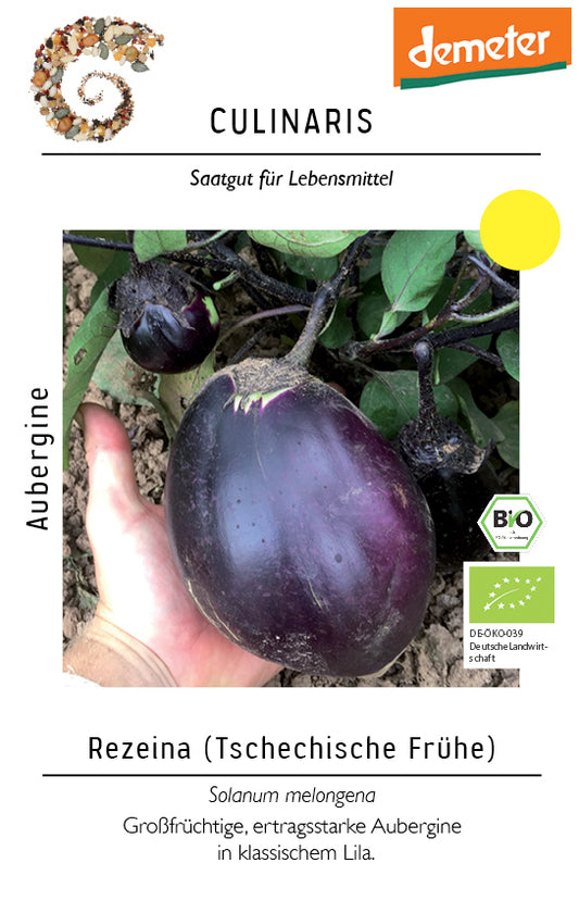 Artikelbild 1 von "BIO Aubergine Tschechische Frühe" aus der Kategorie Auberginensamen