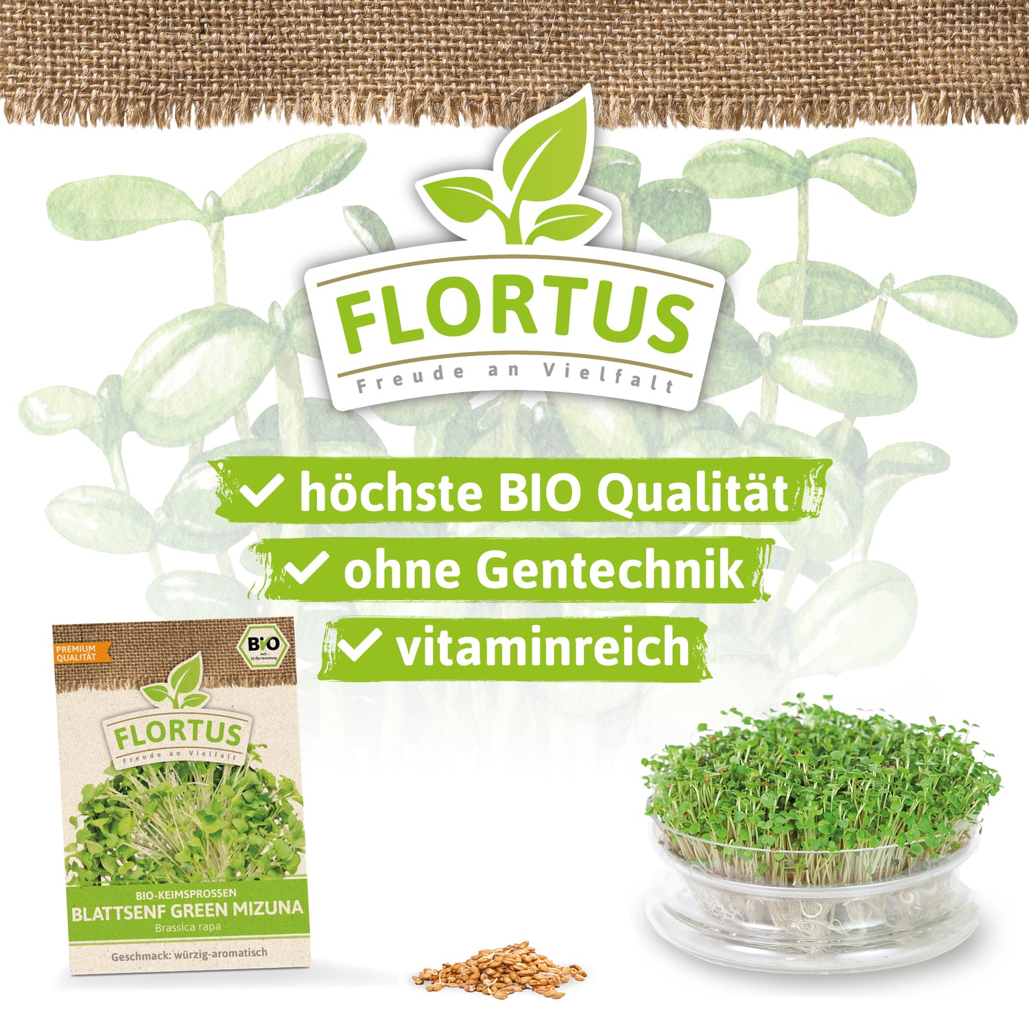 Artikelbild 3 von "BIO Keimsprossen Blattsenf Green Mizuna" aus der Kategorie Keimsprossen