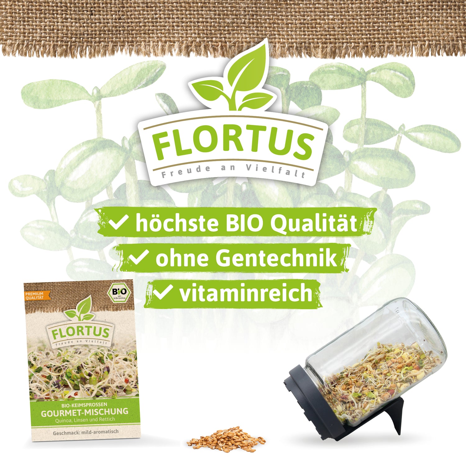 Artikelbild 3 von "BIO Keimsprossen Gourmet-Mischung (Quinoa, Linsen und Rettich)"