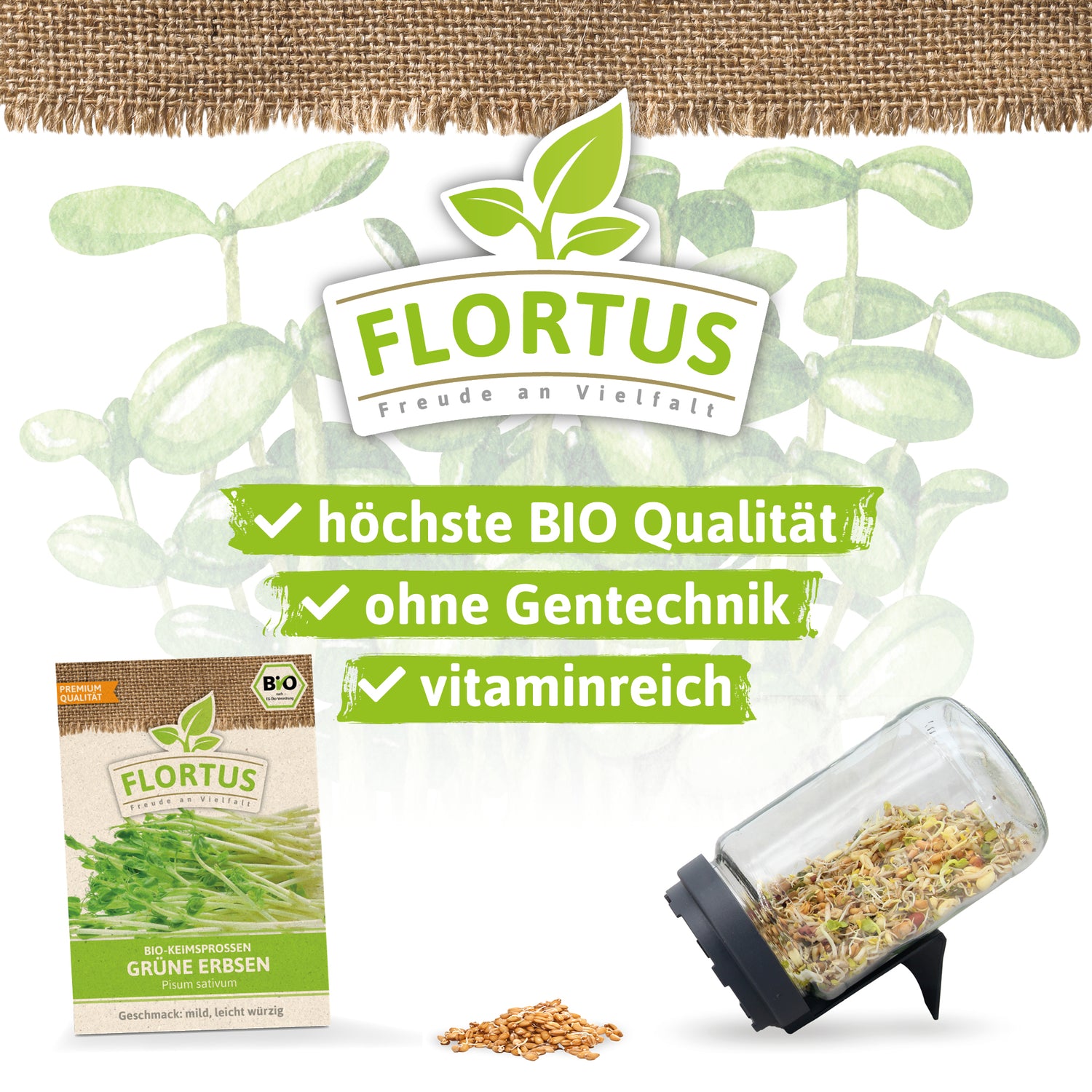 Artikelbild 3 von "BIO Keimsprossen Grüne Erbse" aus der Kategorie Keimsprossen