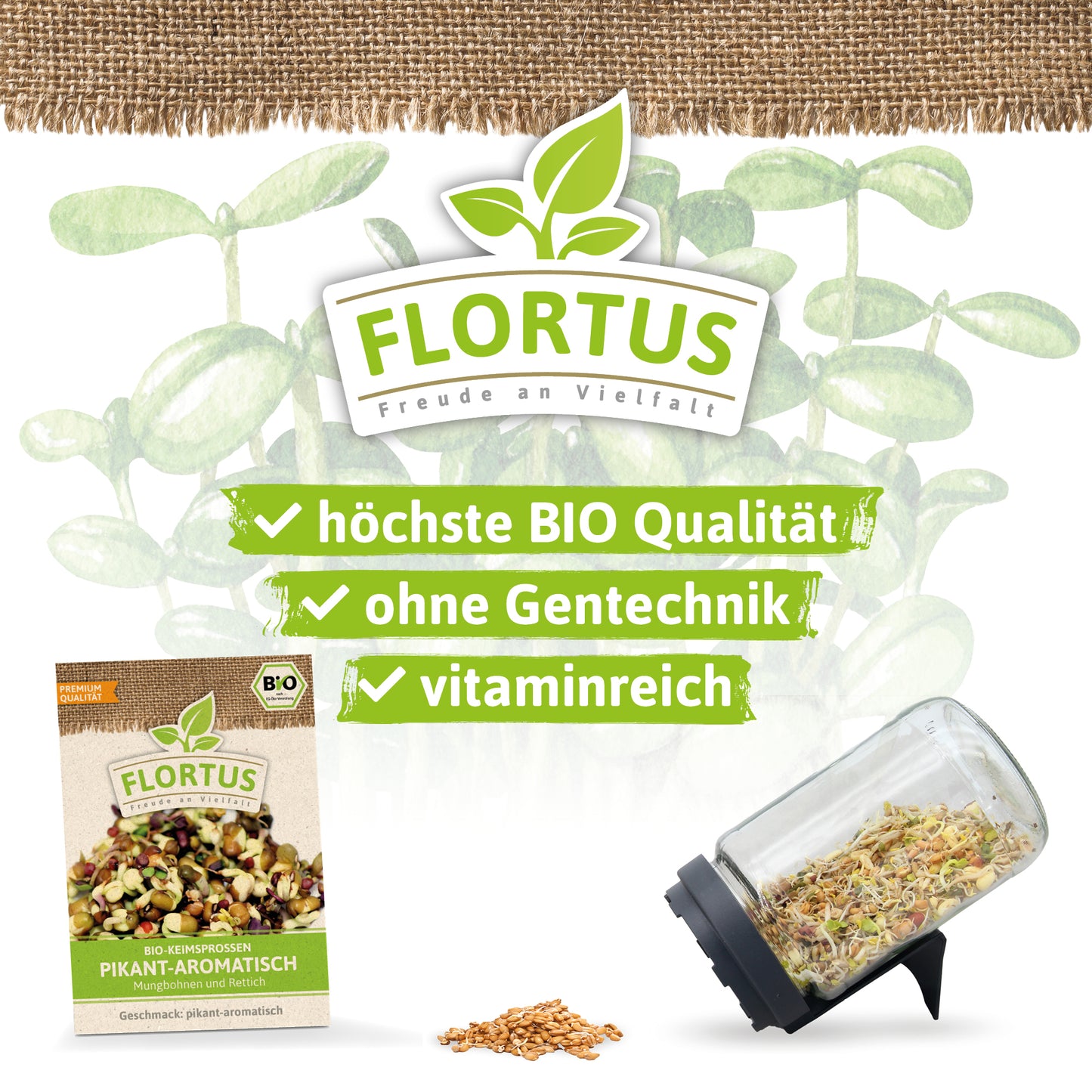Artikelbild 3 von "BIO Keimsprossen Pikant-Aromatisch (Mungbohnen und Rettich)"