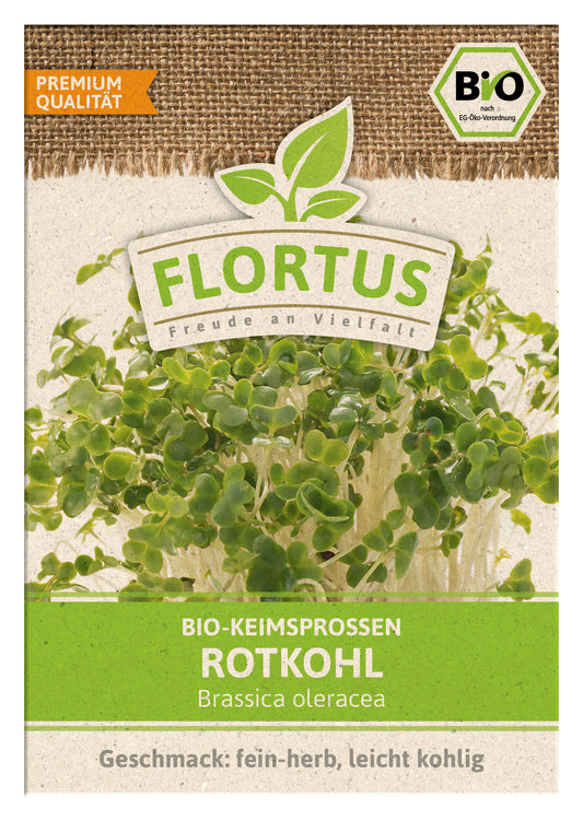 Keimsprossen Rotkohl | BIO Keimsprossen von FLORTUS