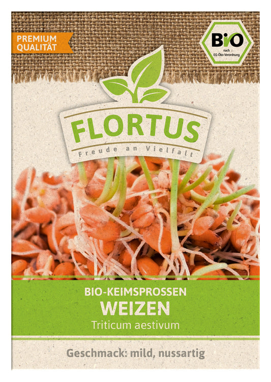 Artikelbild 1 von "BIO Keimsprossen Weizen" aus der Kategorie Keimsprossen