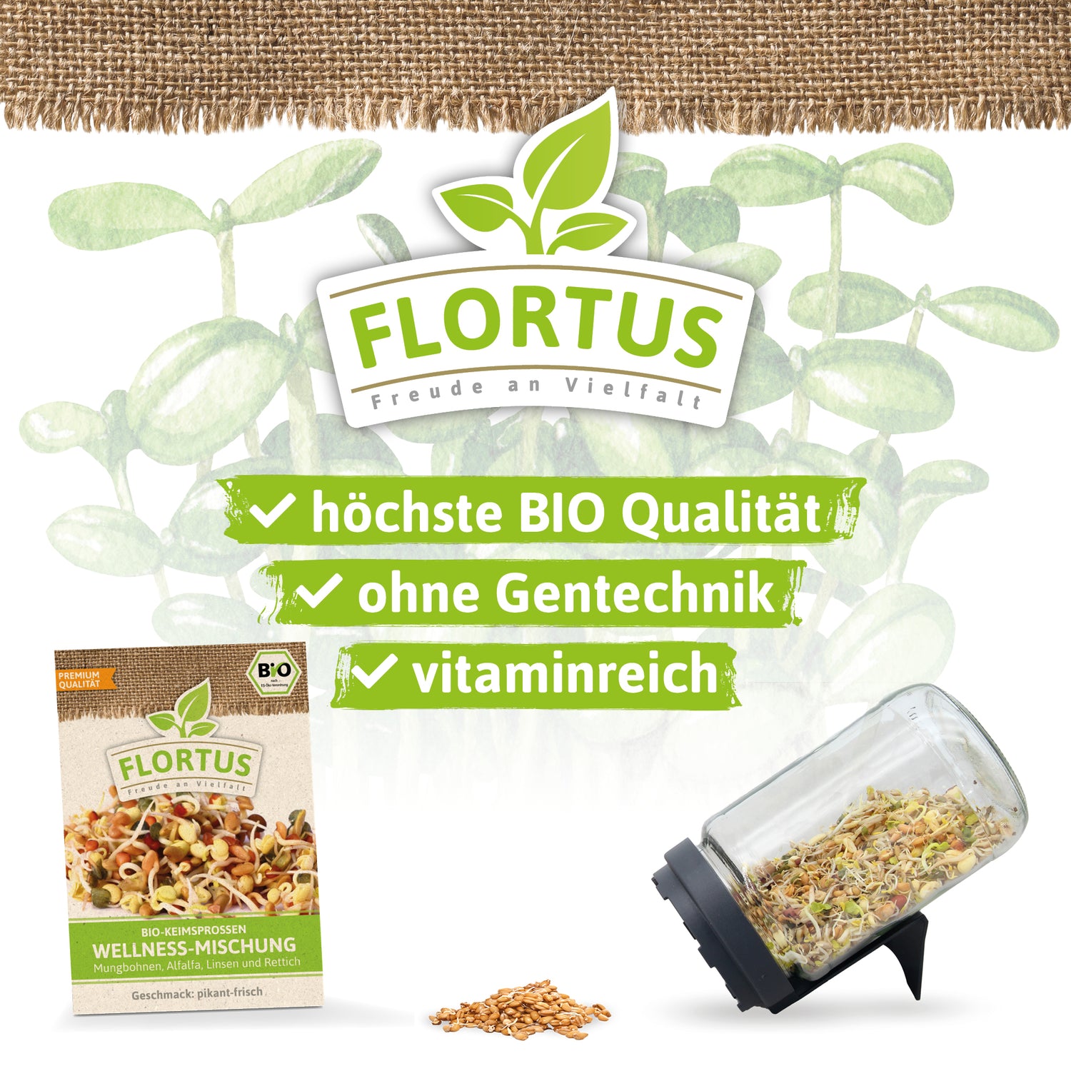 Artikelbild 3 von "BIO Keimsprossen Wellness-Mischung (Mungbohnen, Alfalfa, Linsen und Rettich)"