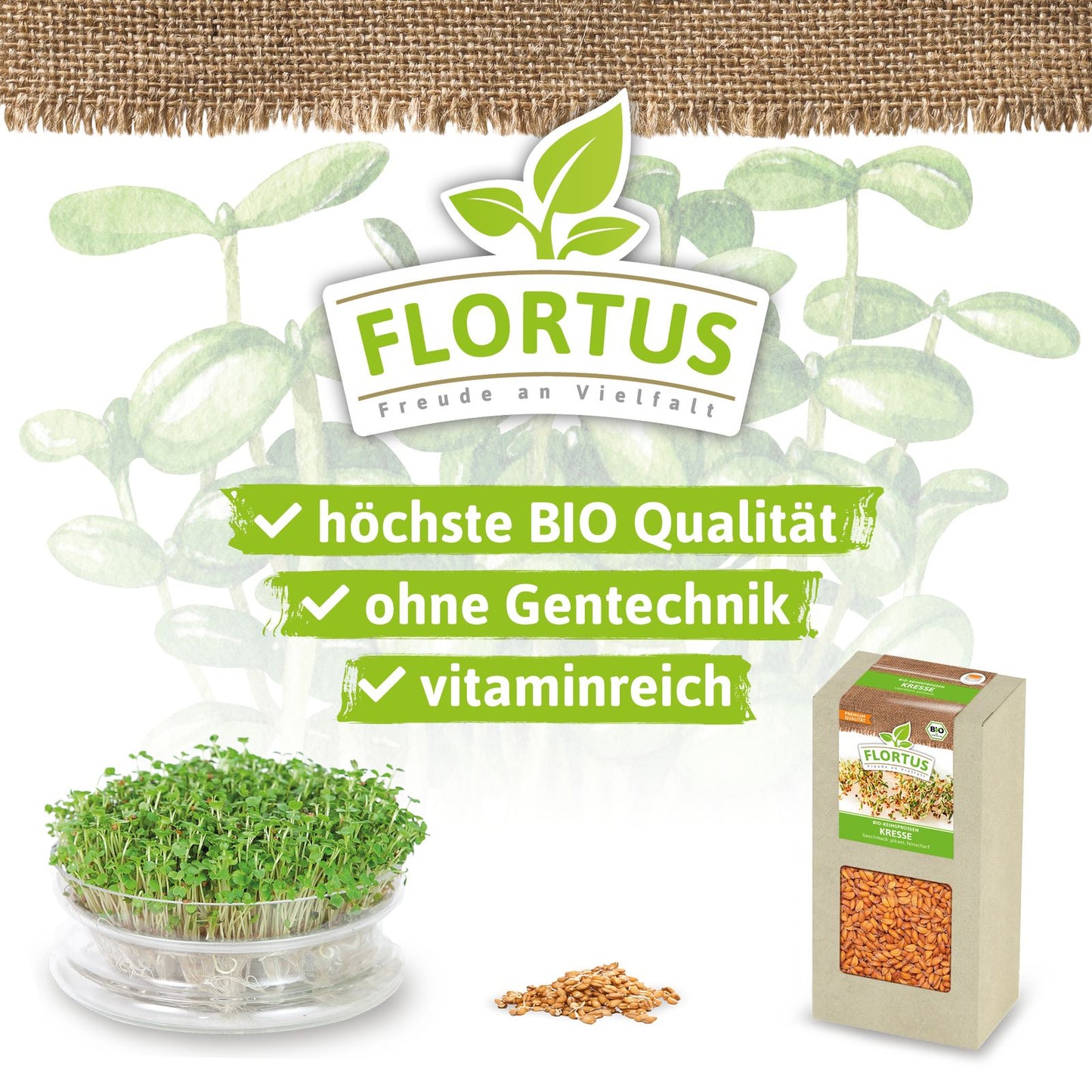 Keimsprossen Kresse | BIO Keimsprossen von FLORTUS