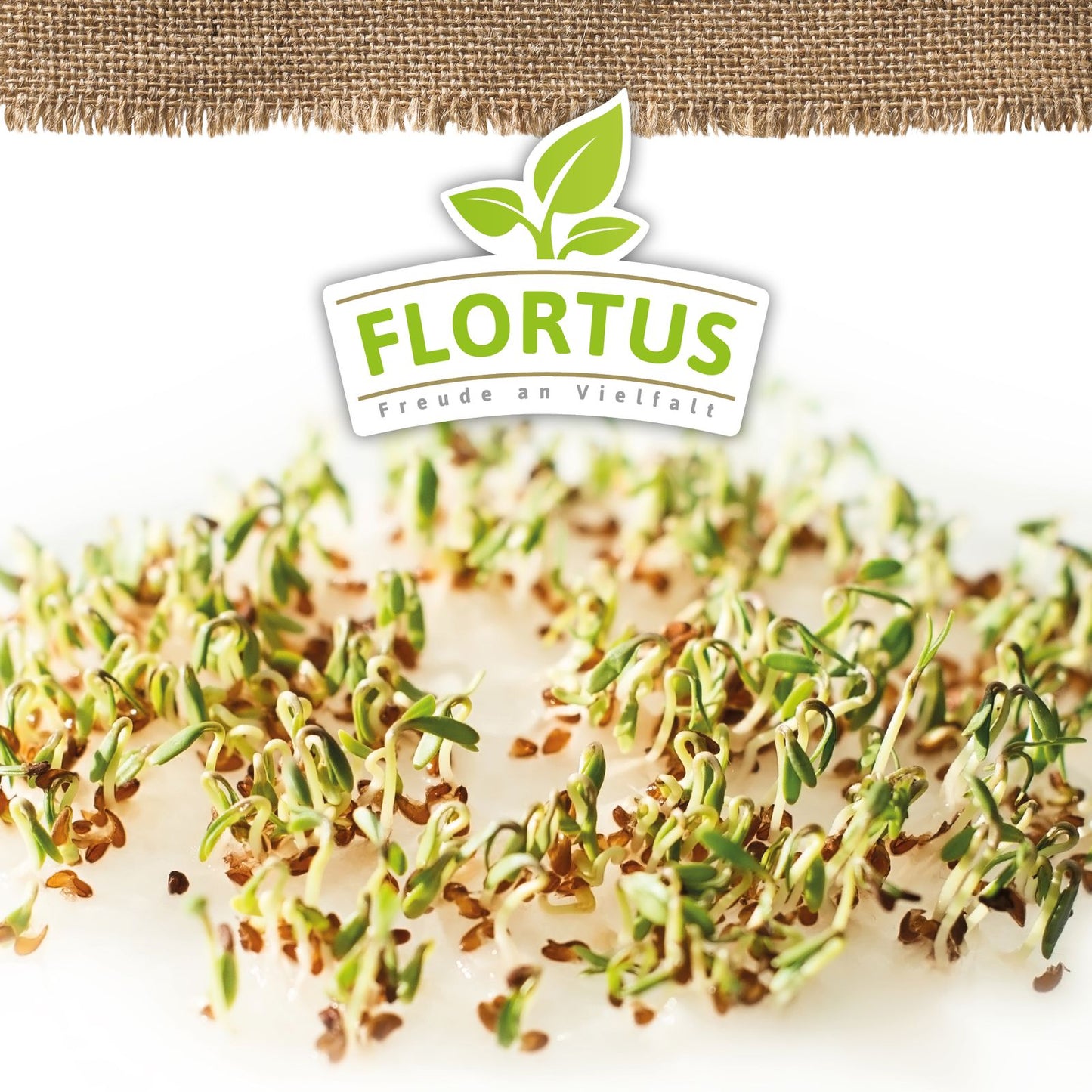 Keimsprossen Kresse | BIO Keimsprossen von FLORTUS