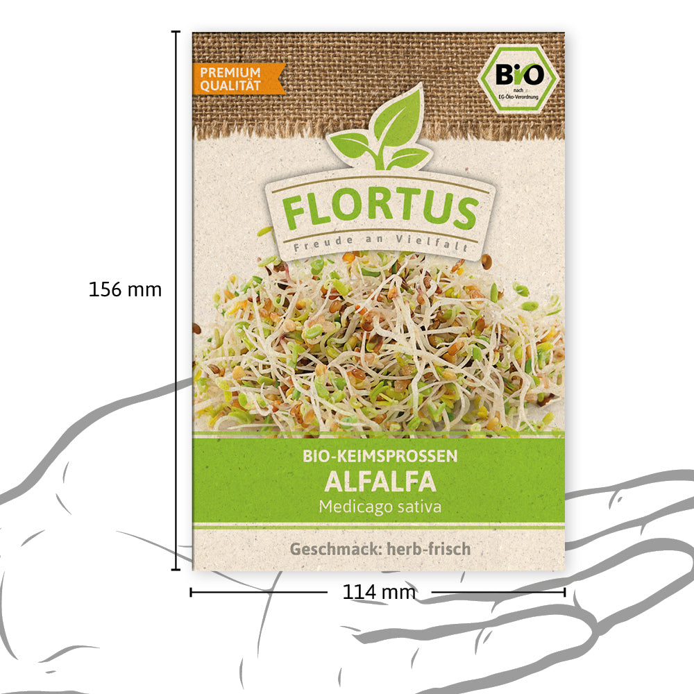 Keimsprossen Alfalfa | BIO Keimsprossen von FLORTUS
