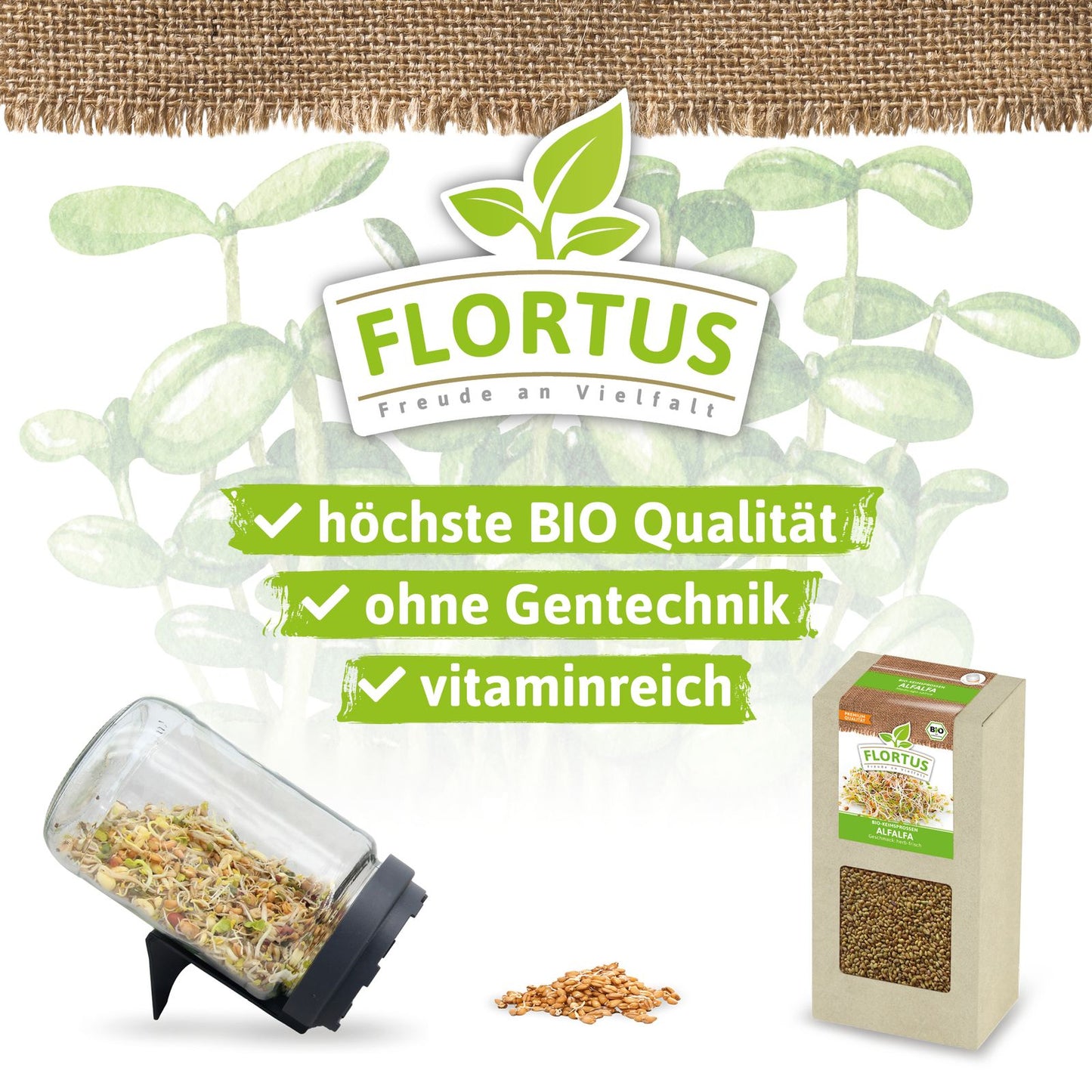 Keimsprossen Alfalfa | BIO Keimsprossen von FLORTUS