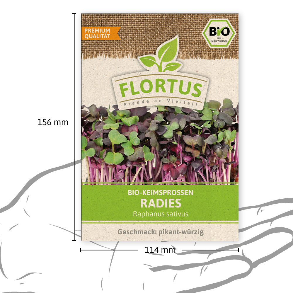 Keimsprossen Radies | BIO Keimsprossen von FLORTUS