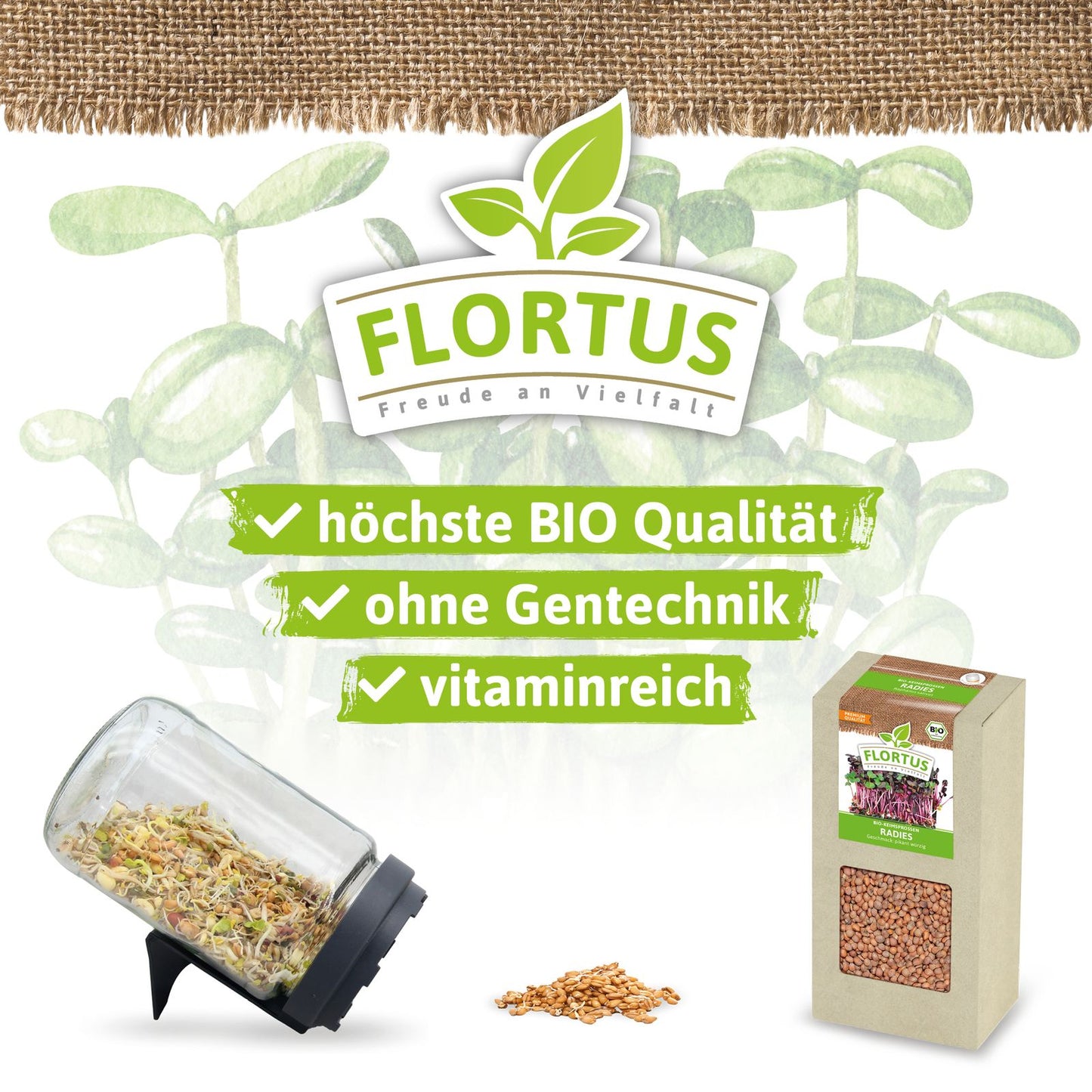 Keimsprossen Radies | BIO Keimsprossen von FLORTUS