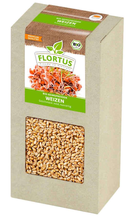 Keimsprossen Weizen (200 g) | BIO Keimsprossen von FLORTUS