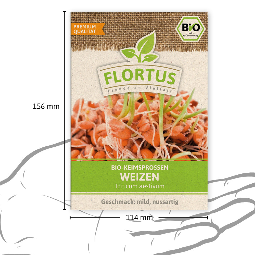 Keimsprossen Weizen | BIO Keimsprossen von FLORTUS