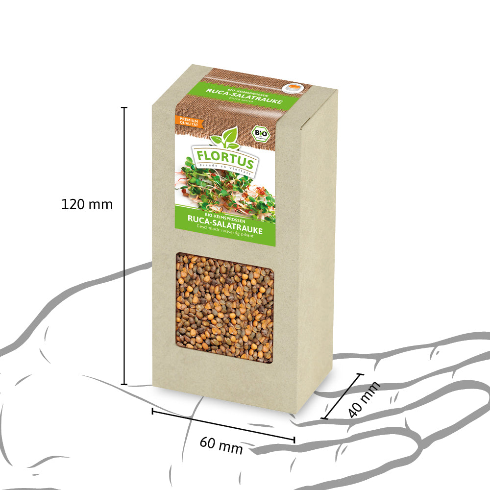 Keimsprossen Ruca-Salatrauke | BIO Keimsprossen von FLORTUS