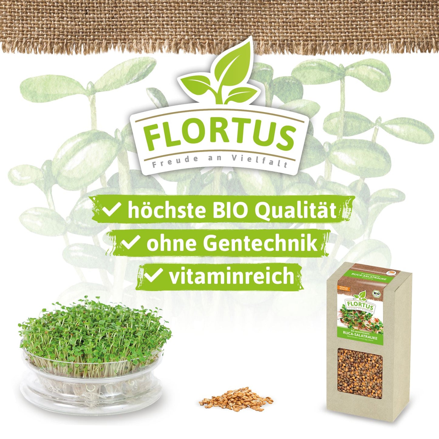 Keimsprossen Ruca-Salatrauke | BIO Keimsprossen von FLORTUS