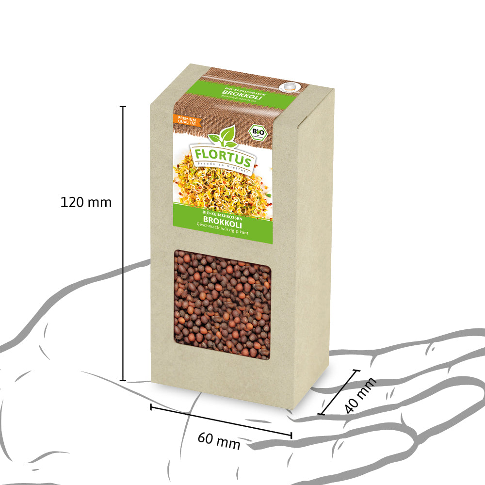 Keimsprossen Brokkoli | BIO Keimsprossen von FLORTUS