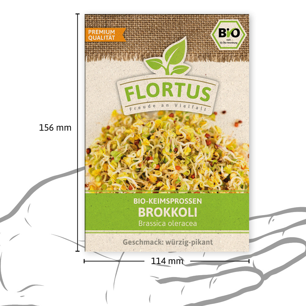 Keimsprossen Brokkoli | BIO Keimsprossen von FLORTUS