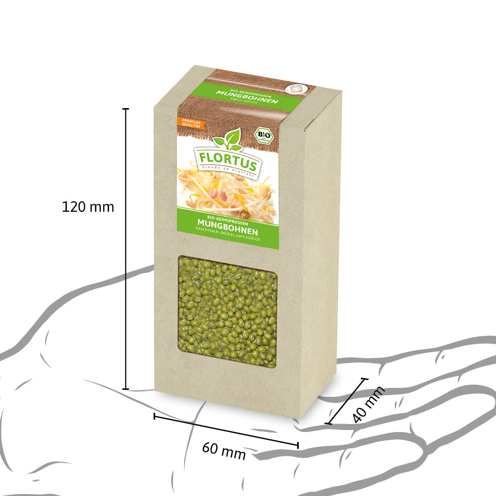 Keimsprossen Mungbohnen | BIO Keimsprossen von FLORTUS