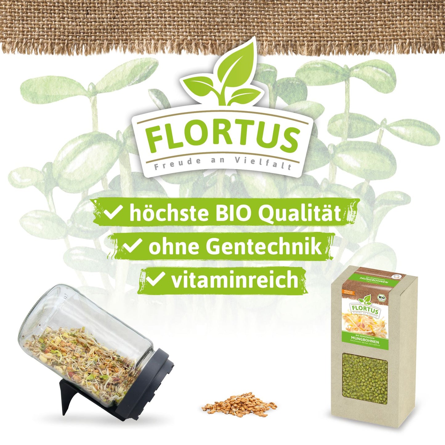 Keimsprossen Mungbohnen | BIO Keimsprossen von FLORTUS