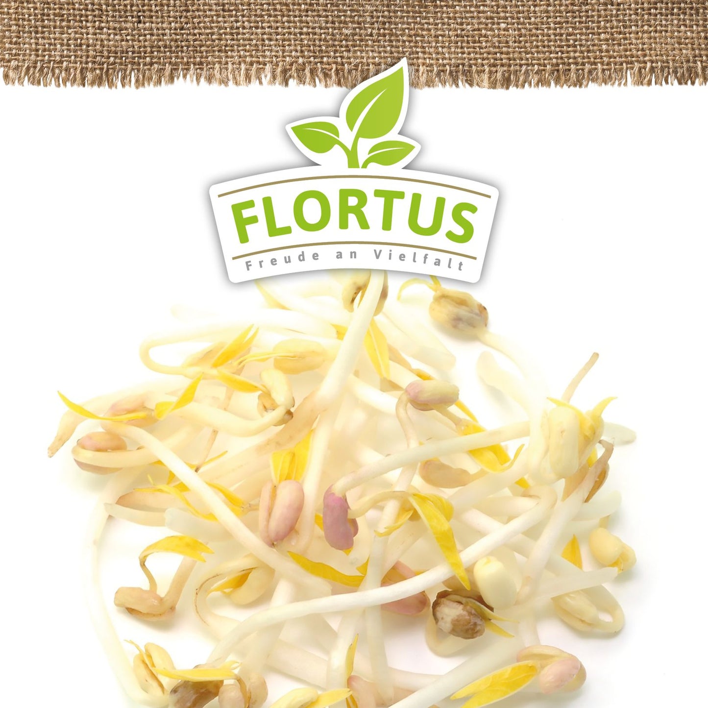 Keimsprossen Mungbohnen | BIO Keimsprossen von FLORTUS