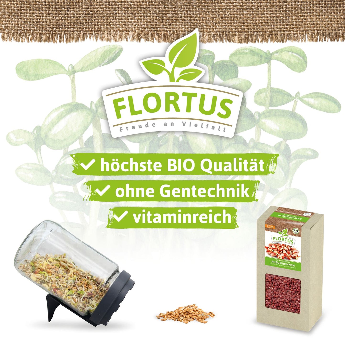 Keimsprossen Adzukibohne | BIO Keimsprossen von FLORTUS