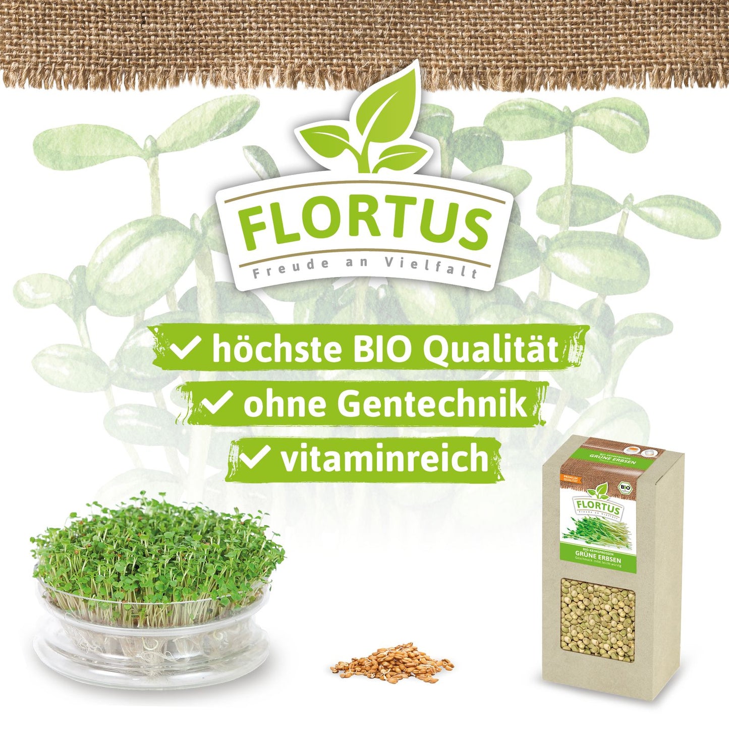 Keimsprossen Grüne Erbse | BIO Keimsprossen von FLORTUS