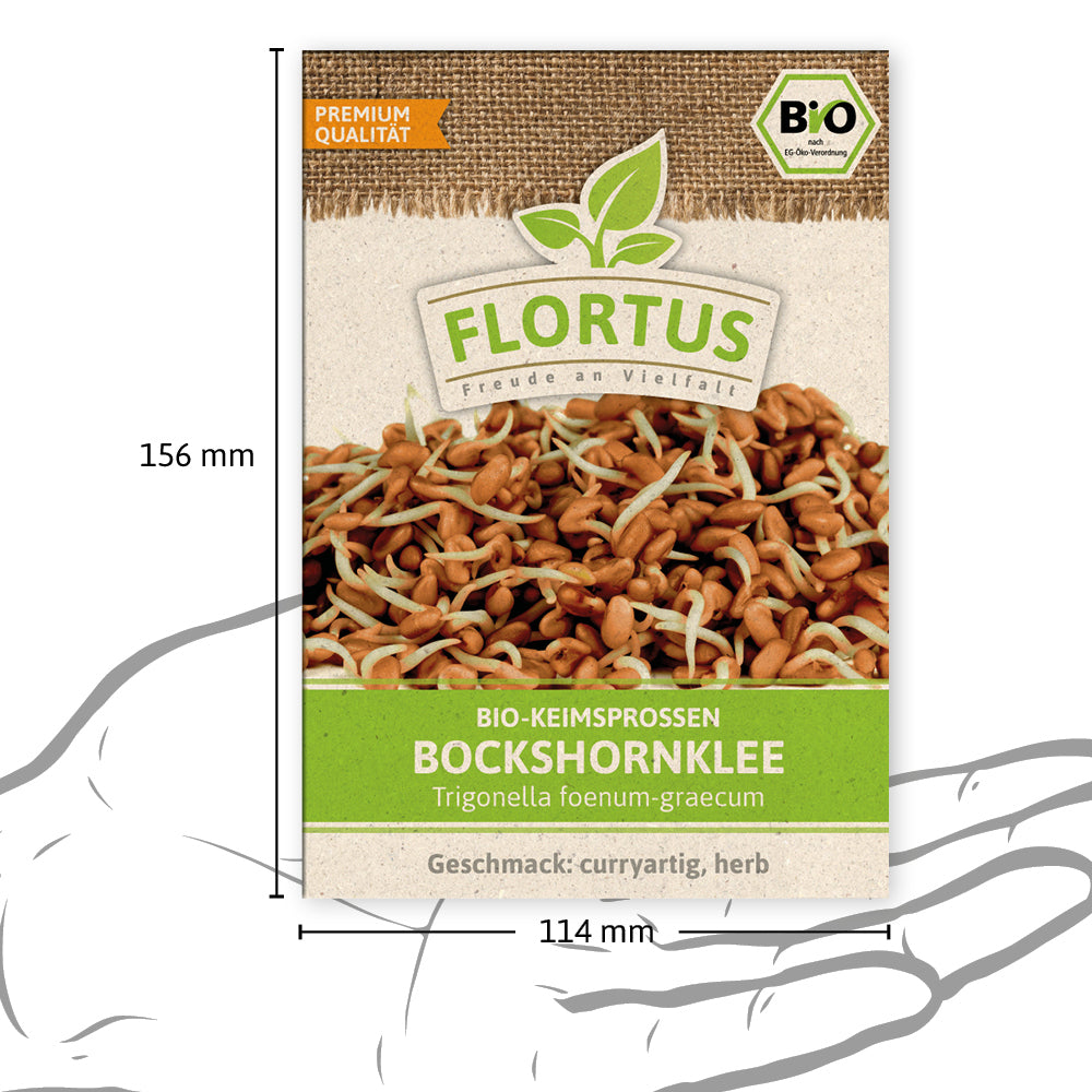Keimsprossen Bockshornklee | BIO Keimsprossen von FLORTUS
