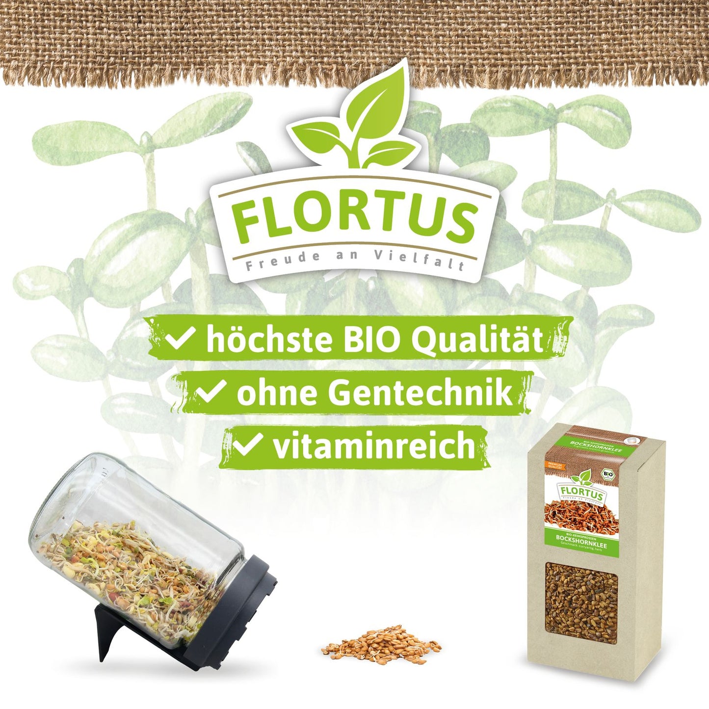 Keimsprossen Bockshornklee | BIO Keimsprossen von FLORTUS