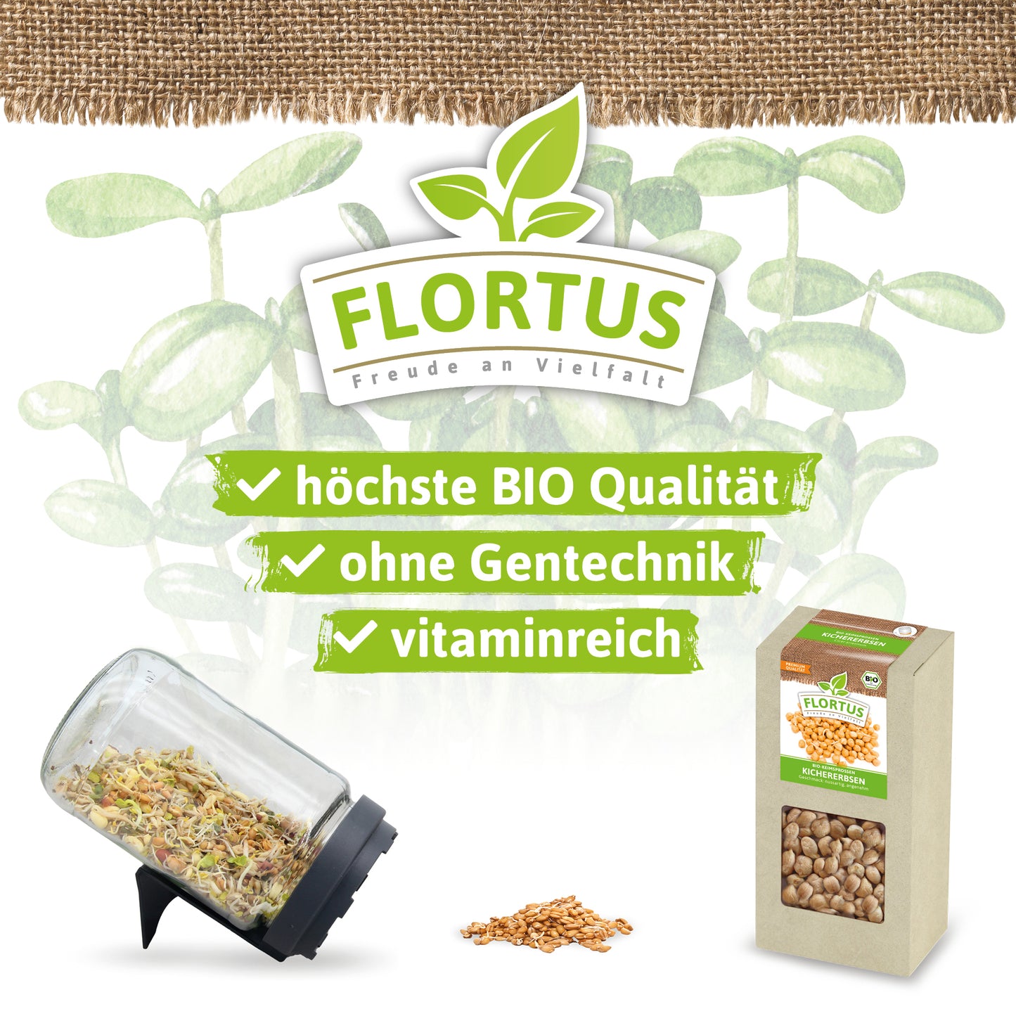 Artikelbild 4 von "BIO Keimsprossen Kichererbse" aus der Kategorie Keimsprossen