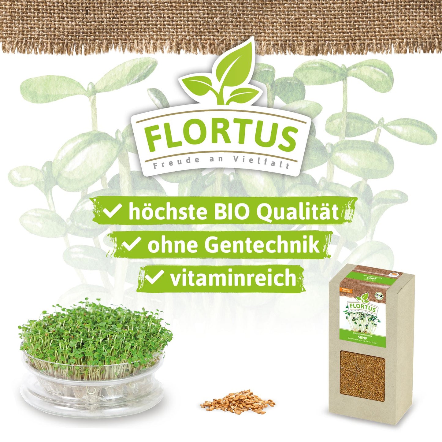 Keimsprossen Senf | BIO Keimsprossen von FLORTUS