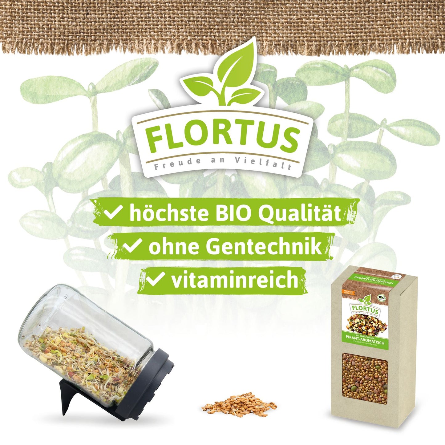 Keimsprossen Pikant-Aromatisch (Mungbohnen und Rettich) | BIO Keimsprossen von FLORTUS