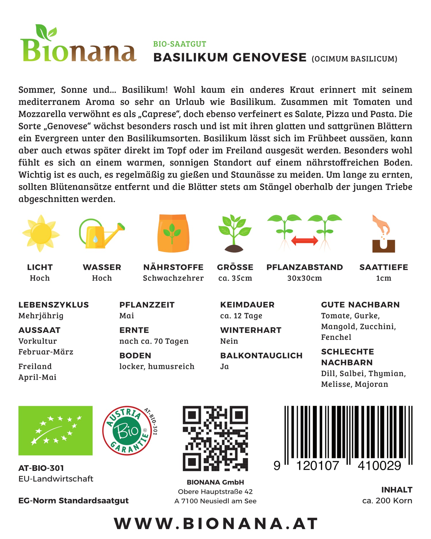 Artikelbild 2 von "BIO Basilikum Genovese" aus der Kategorie Basilikumsamen