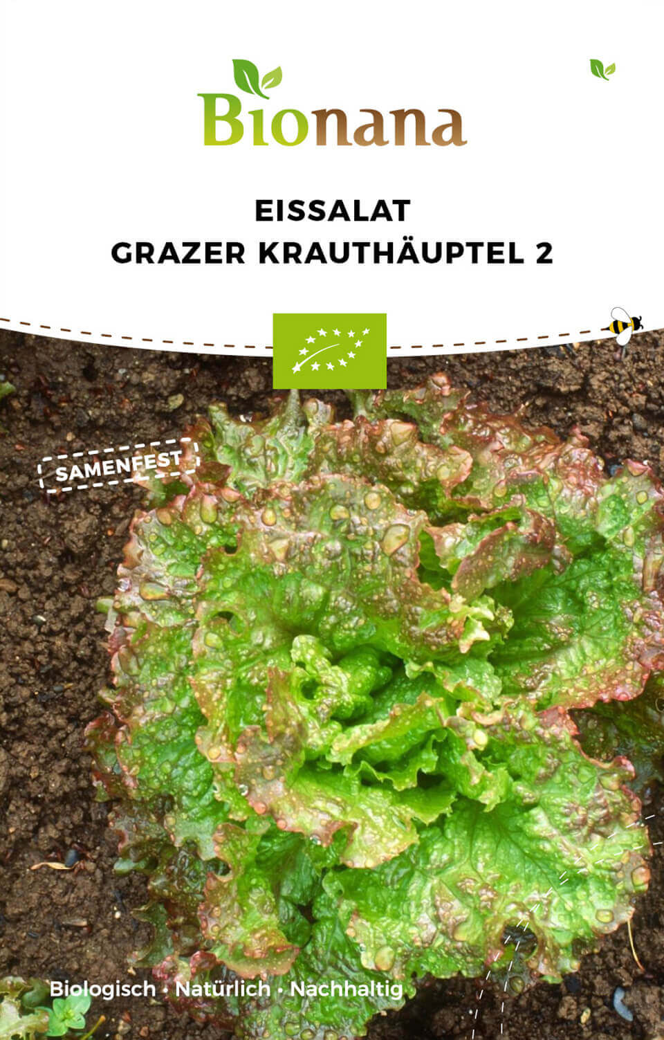Artikelbild 1 von "BIO Eissalat Grazer Krauthäuptel" aus der Kategorie Eissalatsamen