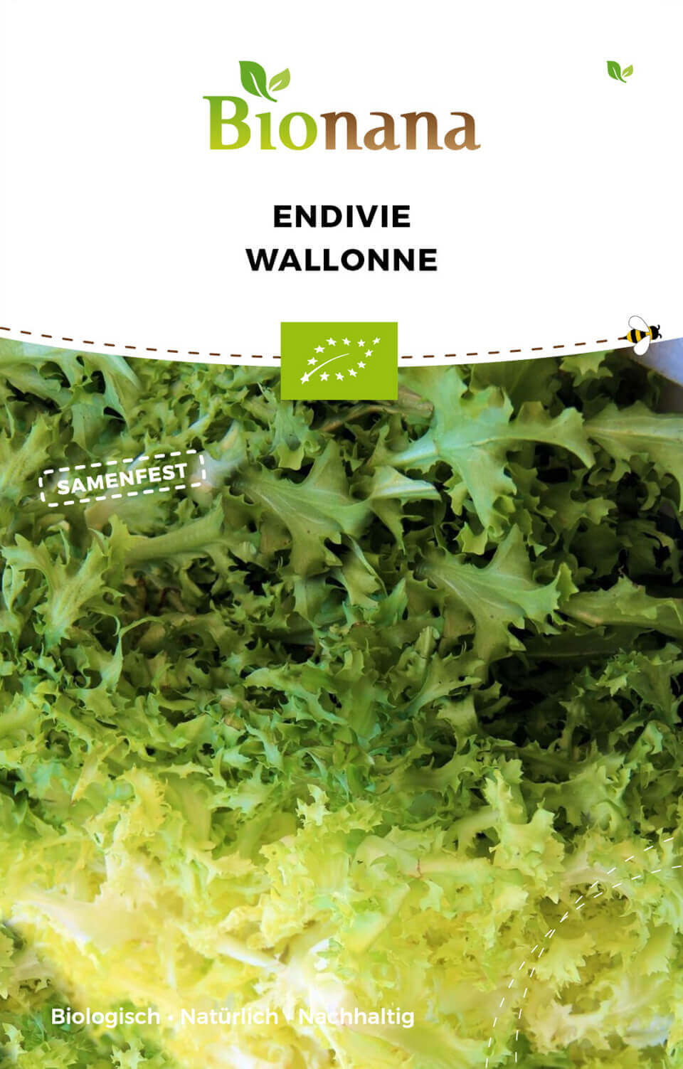 Artikelbild 1 von "BIO Endivie Wallonne [MHD 12/2023]" aus der Kategorie Endiviensalatsamen