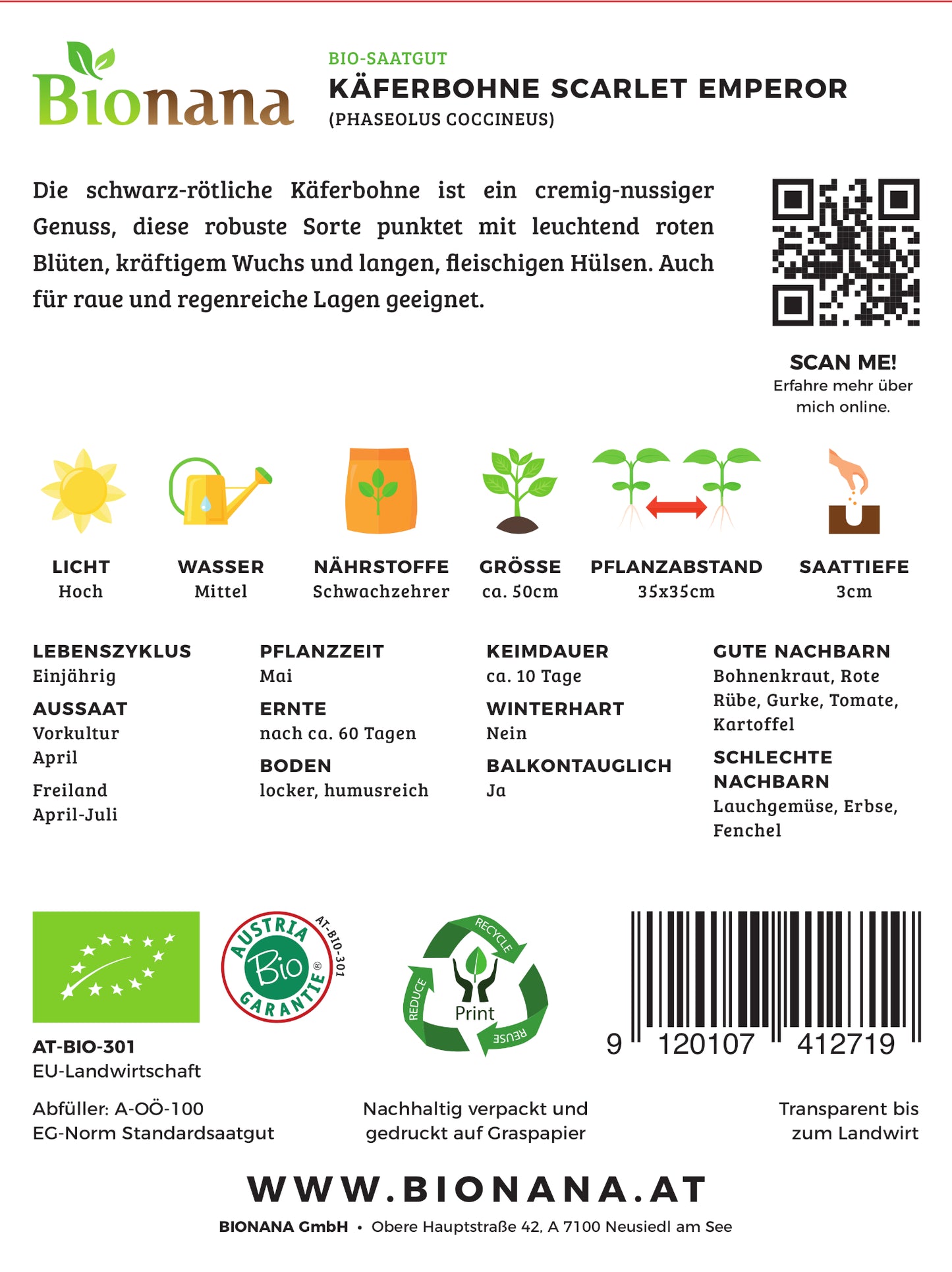 Artikelbild 2 von "BIO Käferbohne Scarlet Emporer" aus der Kategorie Bohnensamen