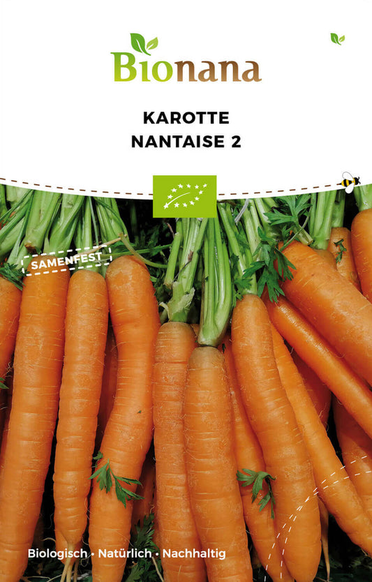 Artikelbild 1 von "BIO Karotte Nantaise" aus der Kategorie Möhrensamen