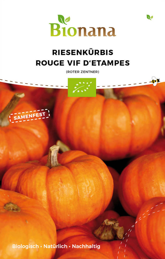 Artikelbild 1 von "BIO Kürbis Roter Zentner" aus der Kategorie Kürbissamen