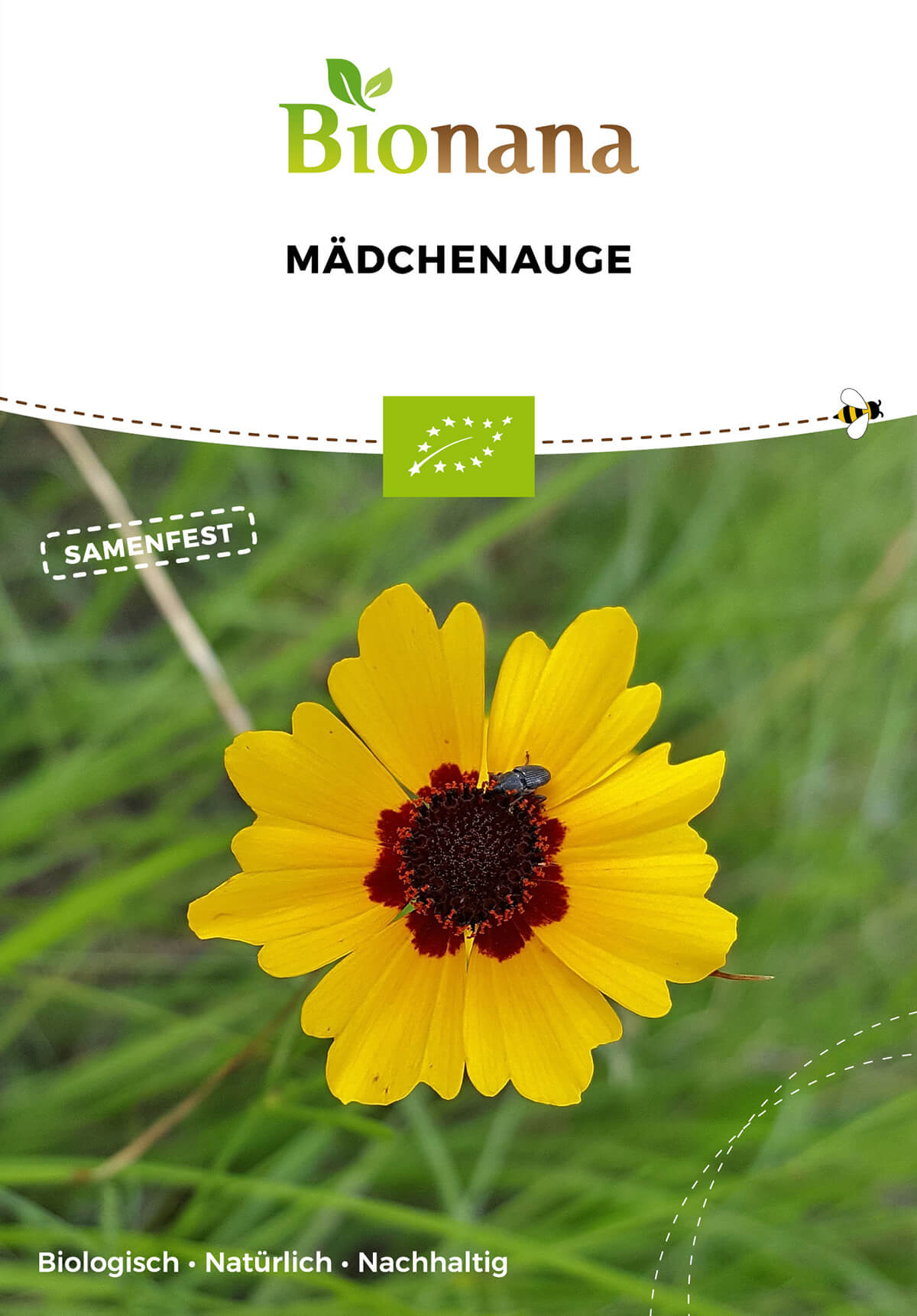 Artikelbild 1 von "BIO Mädchenauge [MHD 12/2023]" aus der Kategorie Blumensamen