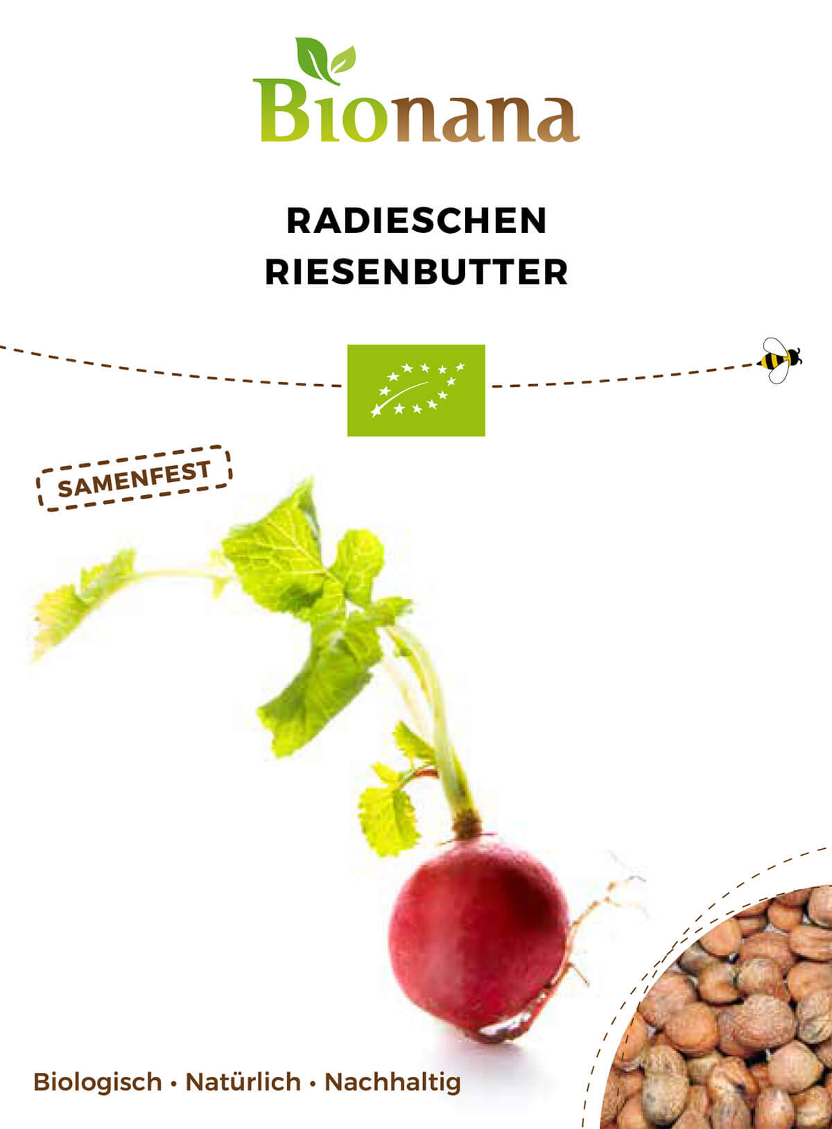 Artikelbild 1 von "BIO Radieschen Riesenbutter [MHD 12/2024]" aus der Kategorie Radieschensamen