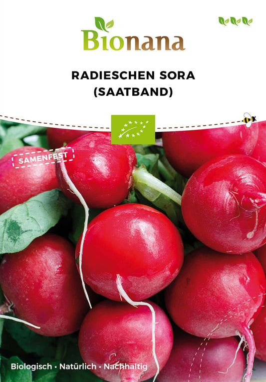 Artikelbild 1 von "BIO Radieschen Sora (Saatband)" aus der Kategorie Radieschensamen