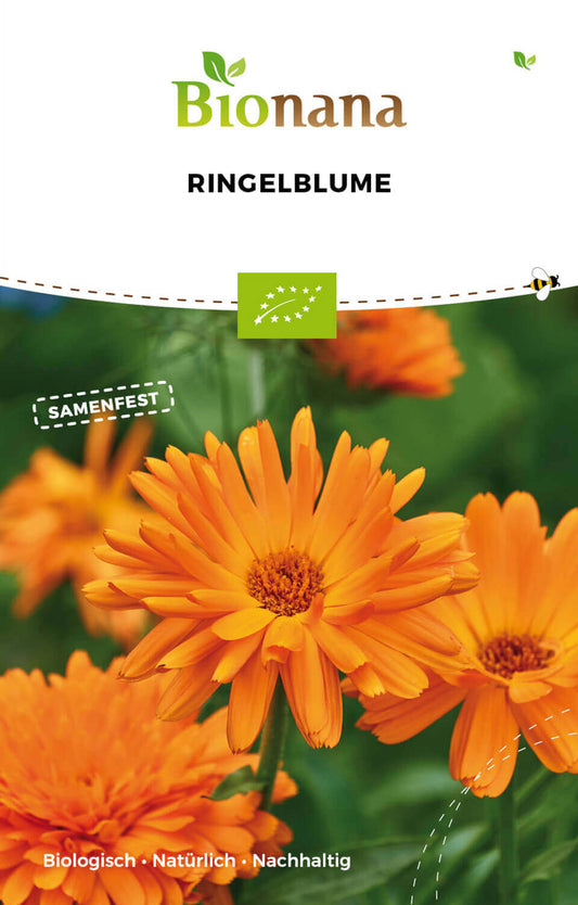 Artikelbild 1 von "BIO Ringelblume" aus der Kategorie Ringelblumensamen