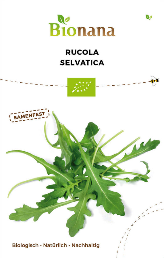 Artikelbild 1 von "BIO Rucola Selvatica" aus der Kategorie Rucola- / Raukesamen