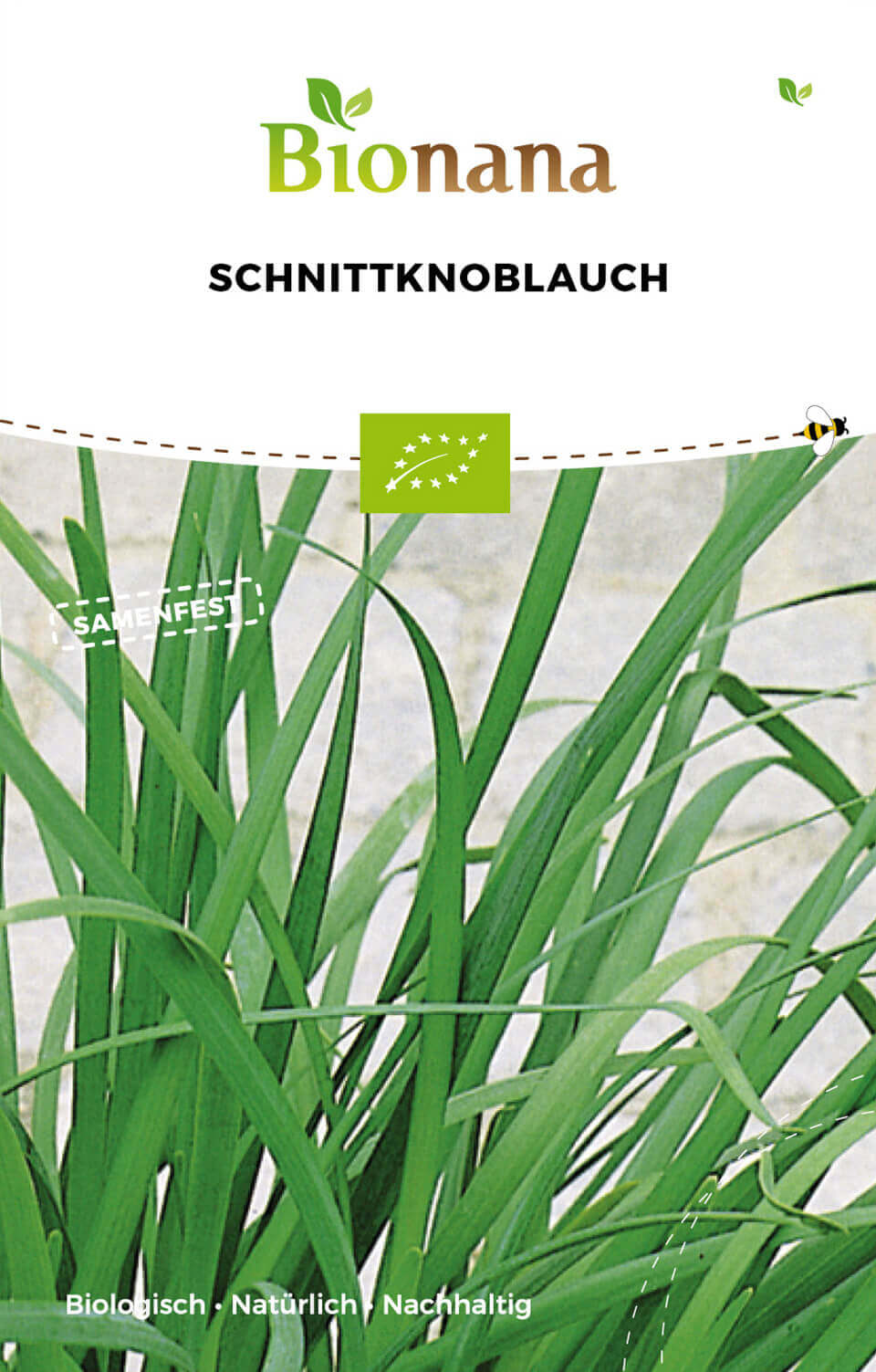 Artikelbild 1 von "BIO Schnittknoblauch" aus der Kategorie Knoblauchsamen