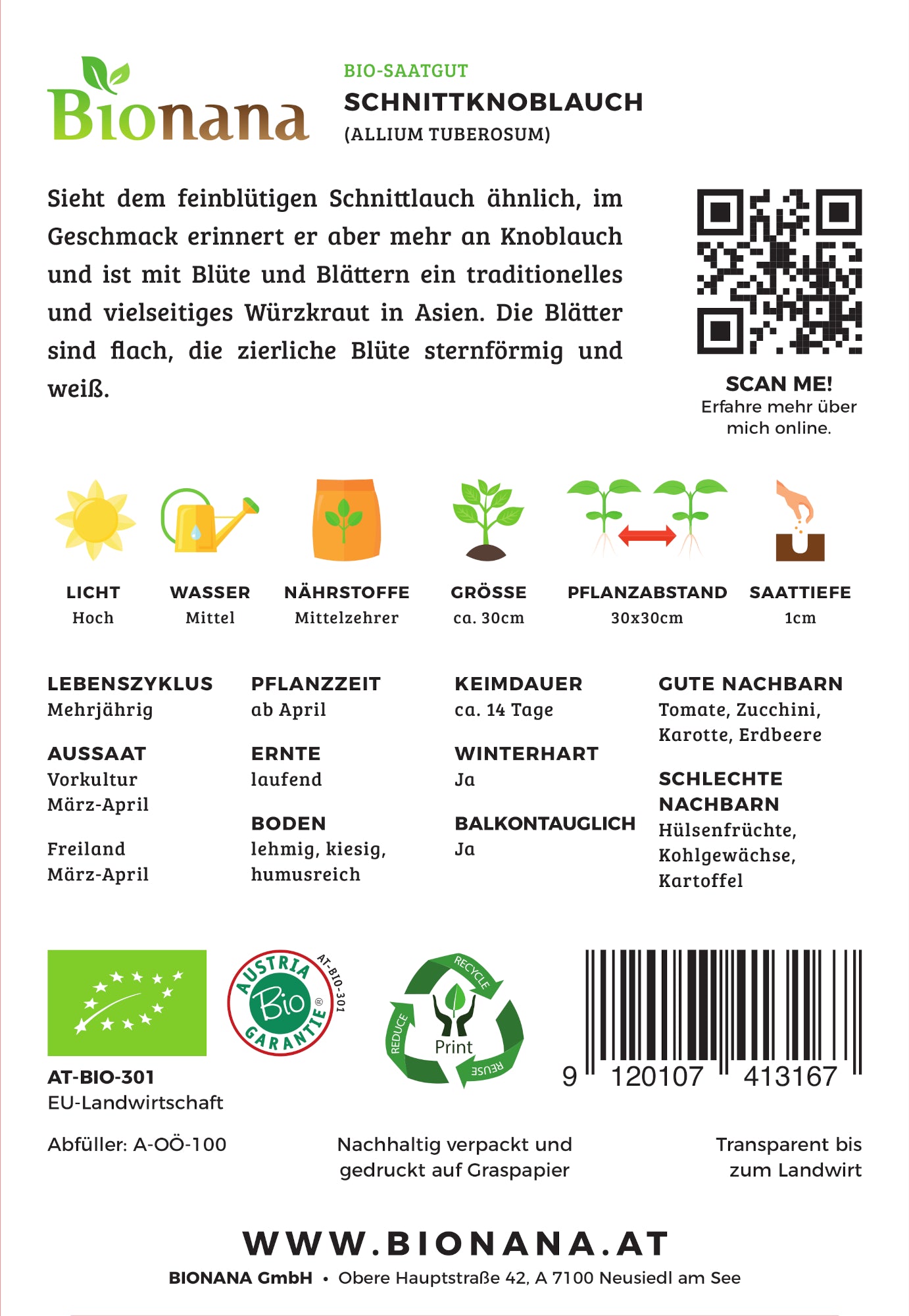 Artikelbild 2 von "BIO Schnittknoblauch" aus der Kategorie Knoblauchsamen