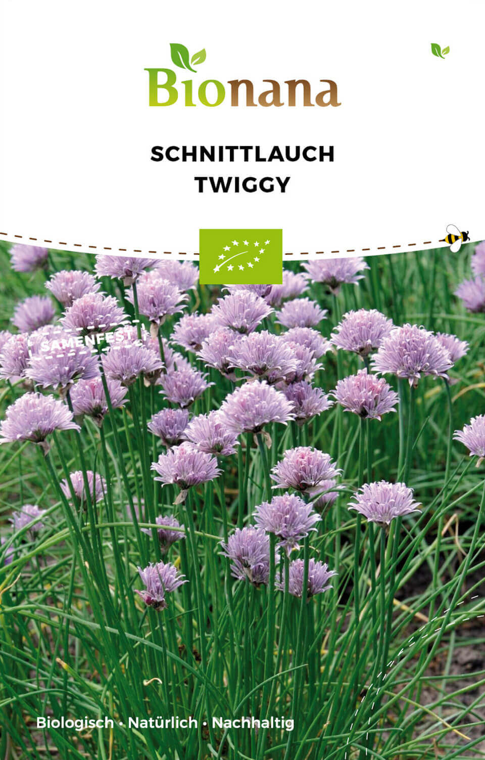 Artikelbild 1 von "BIO Schnittlauch [MHD 12/2023]" aus der Kategorie Schnittlauchsamen