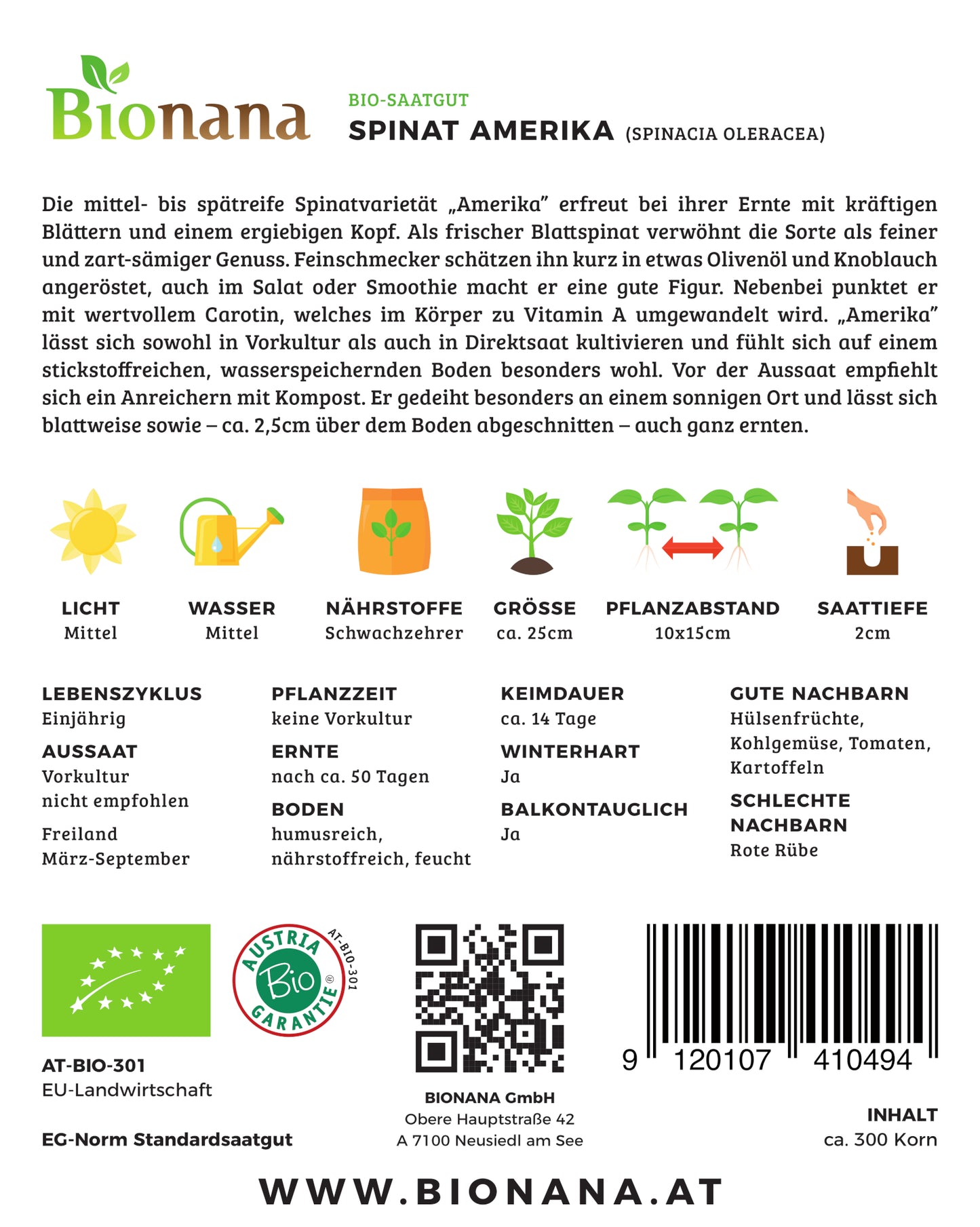 Artikelbild 2 von "BIO Spinat America [MHD 12/2024]" aus der Kategorie Spinatsamen