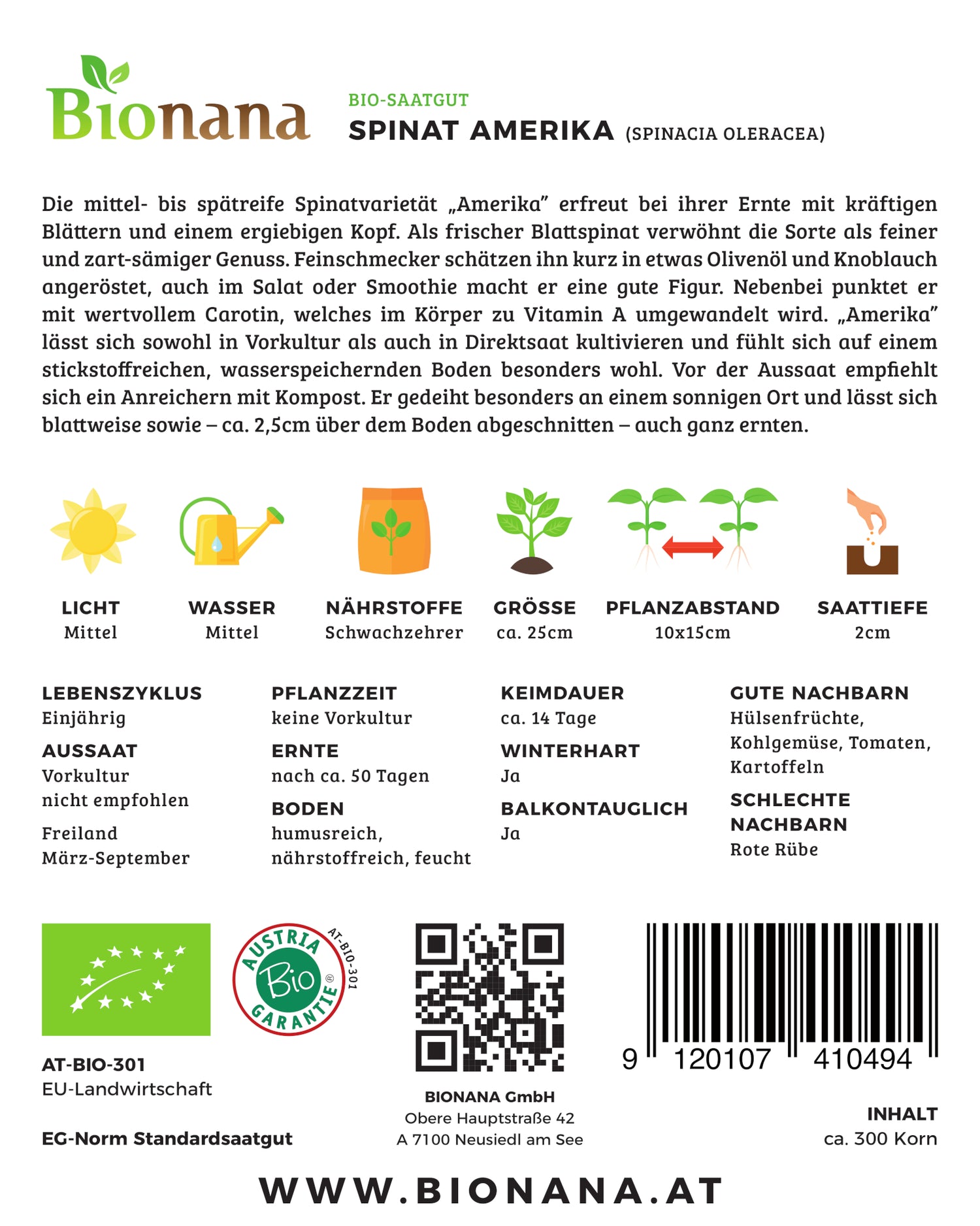 Artikelbild 2 von "BIO Spinat America [MHD 12/2024]" aus der Kategorie Spinatsamen